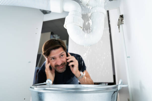 Best Plumbing Inspection Services  in Cambridge Springs, PA